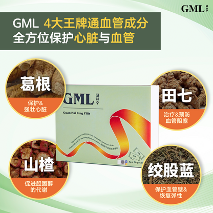 2盒GML冠脉宁™（60包）